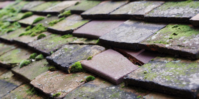 Little Thetford roof repair costs